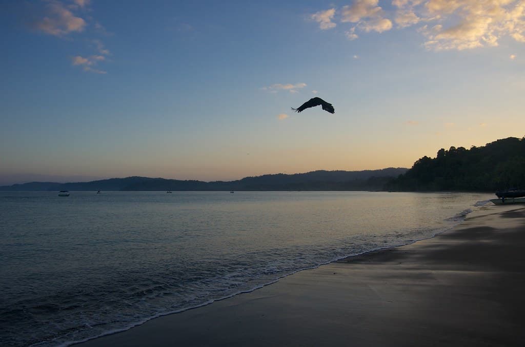 Playa Las Caletas view 2