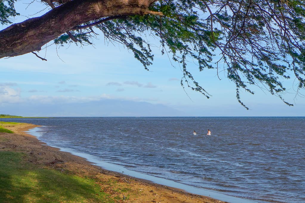 One Ali?i Beach Park