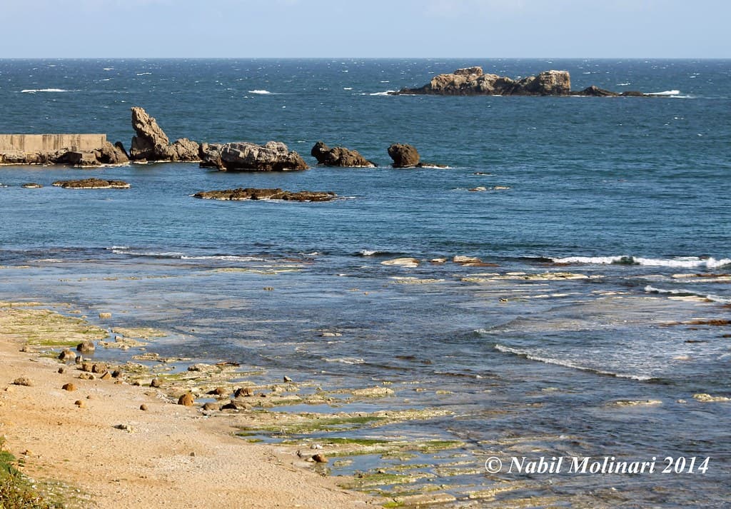 Alger Plage view 3