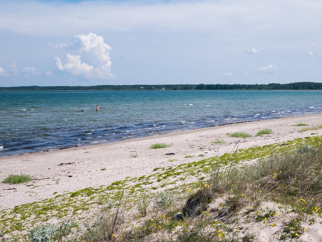 Papissaare Beach