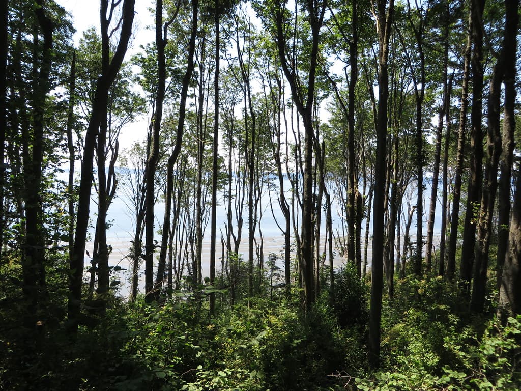 Magnolia Beach view 2