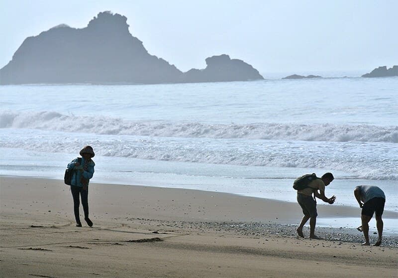 Sukamade Beach