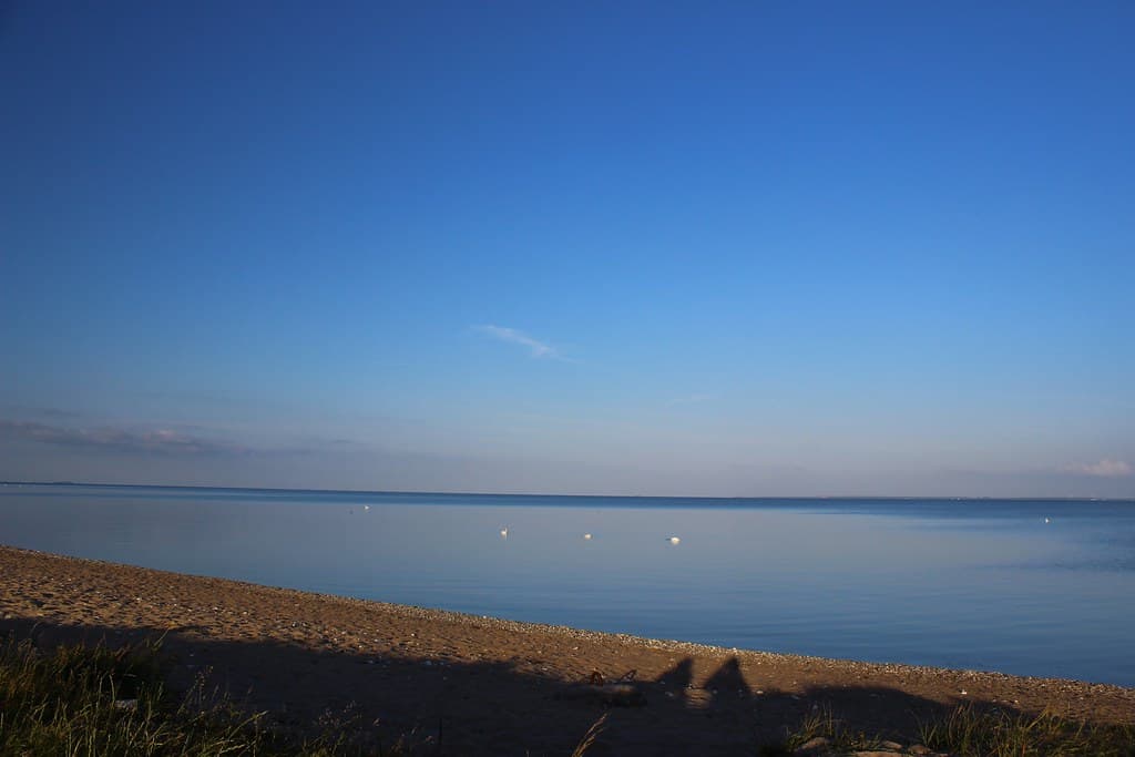 Palmer Ort Beach