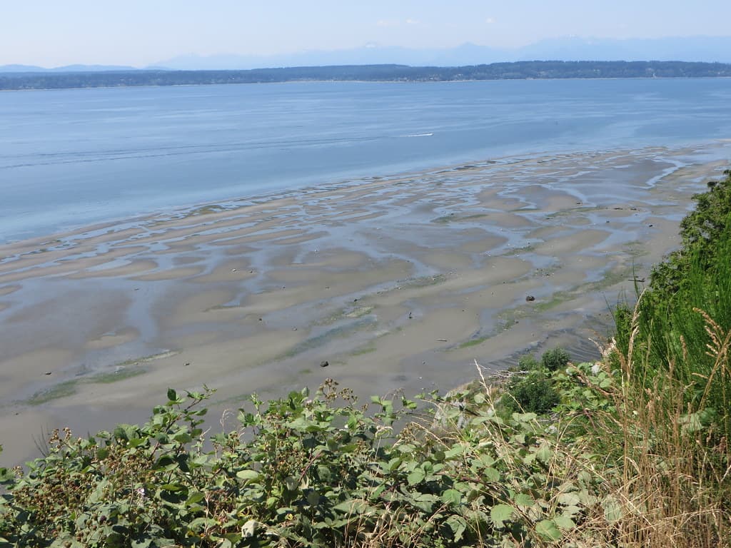 Magnolia Beach
