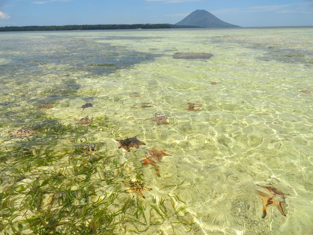 Pulau Siladen (Siladen Island), North Sulawesi,