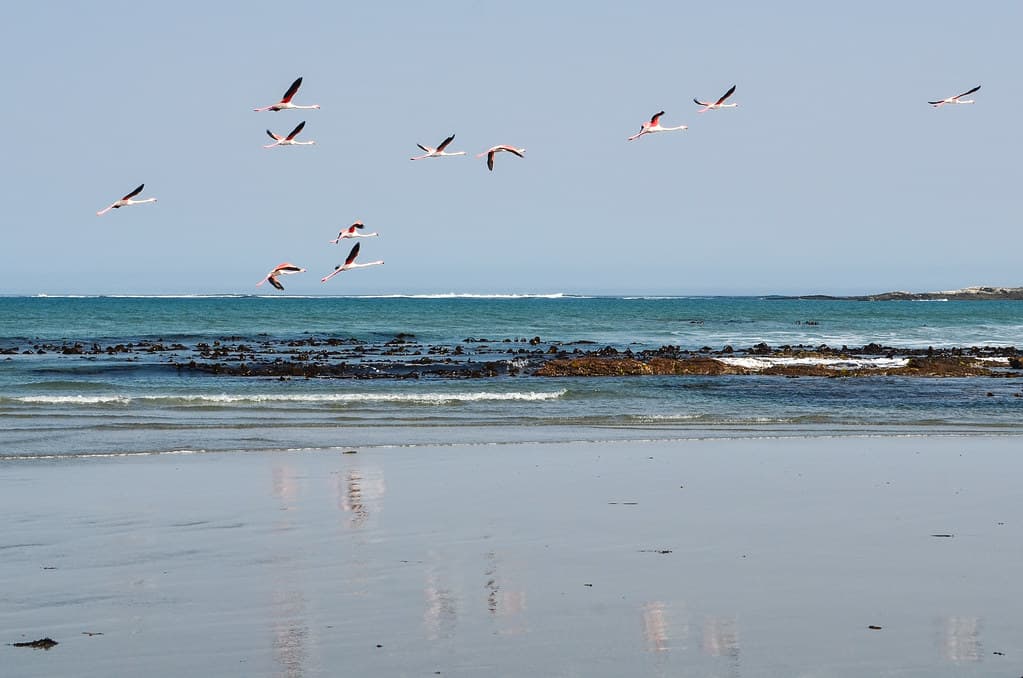 Grosse Bucht Beach