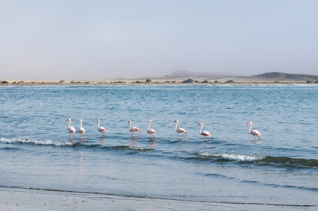 Griffith Bay Beach — photo by jbdodane