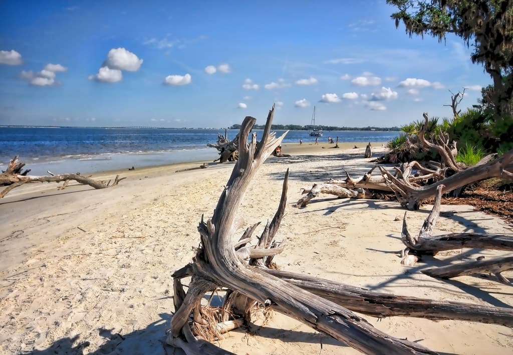 Driftwood Shores Beach view 2