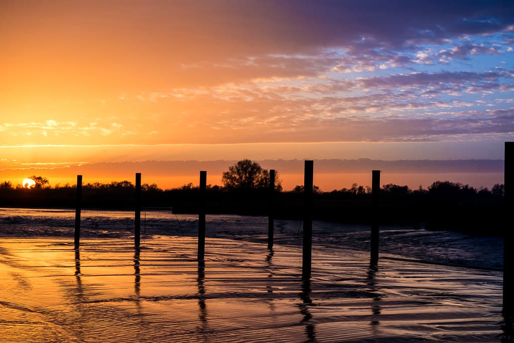 Haseldorfer Marsch Elbe Beach