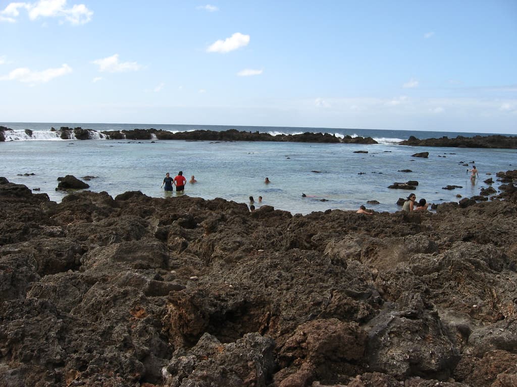Shark's Cove, Pupukea, North Shore, Oahu, Hawaii (15)