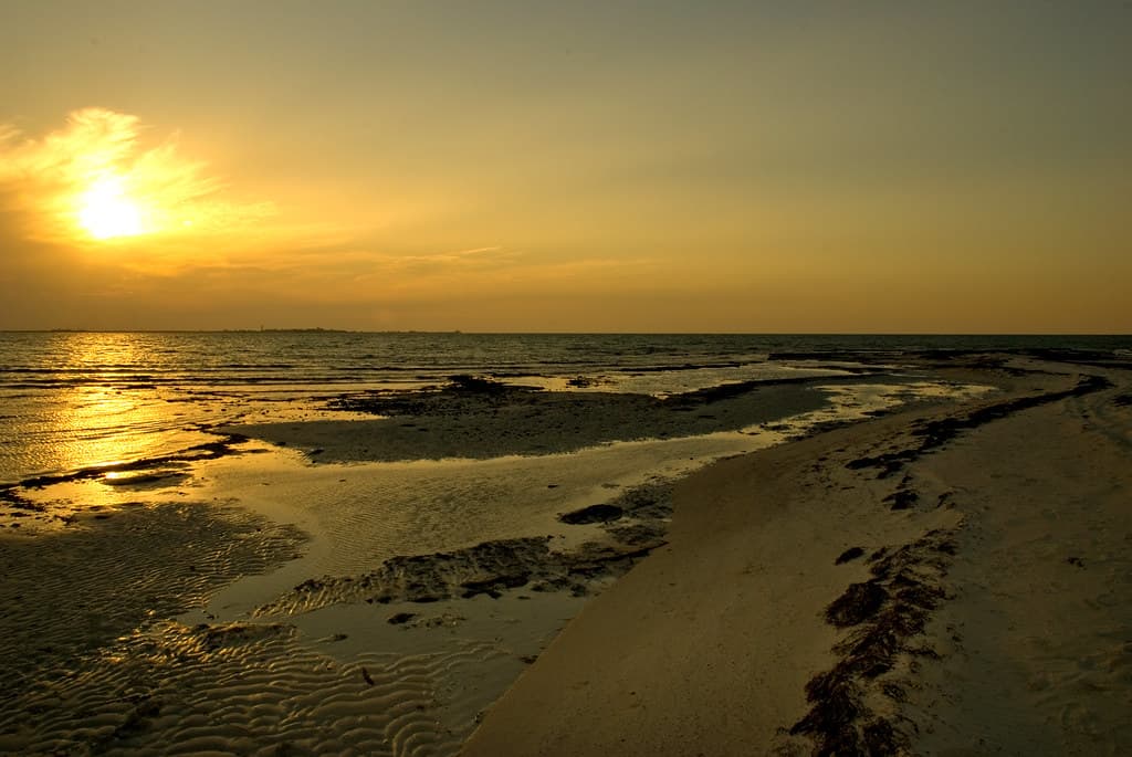 Al Zubarah Hidden Coves