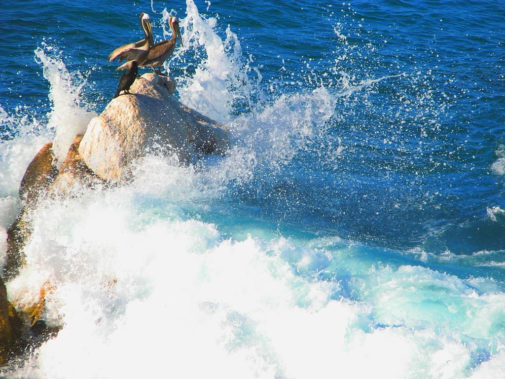 Pelican Peninsula Beach