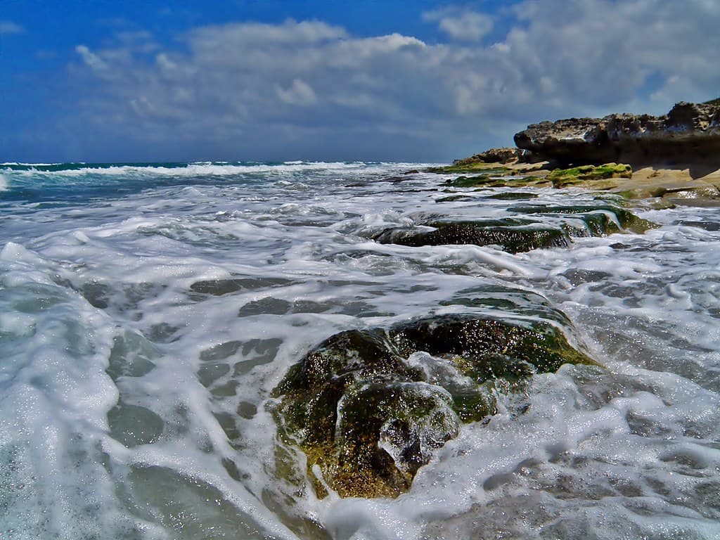 Jupiter Beach Park