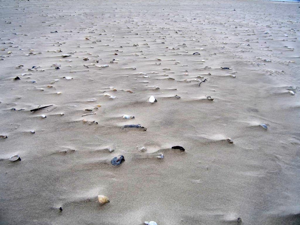 Matagorda Beach