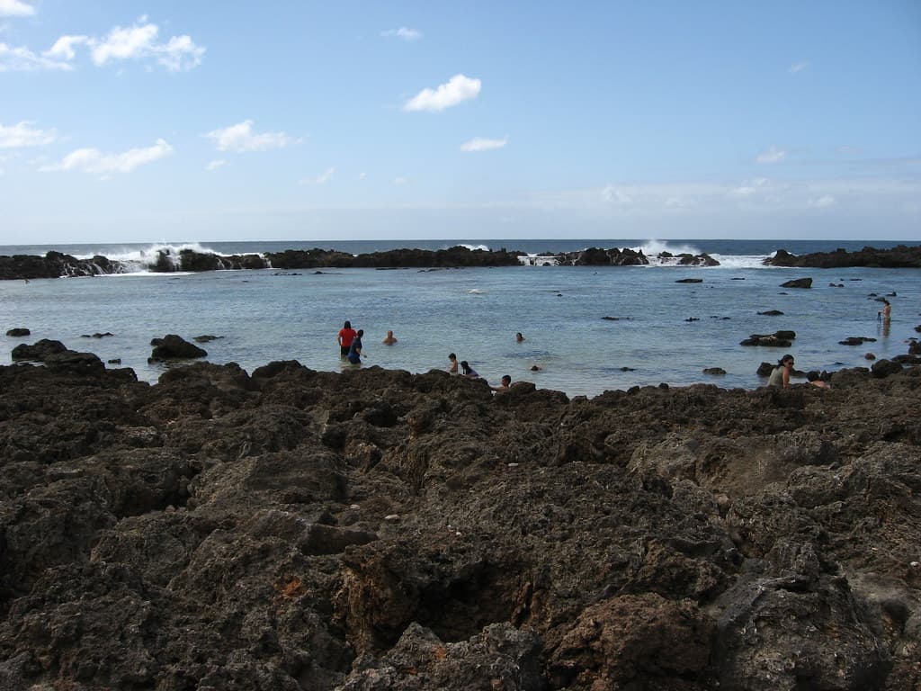 Shark's Cove, Pupukea, North Shore, Oahu, Hawaii (16)