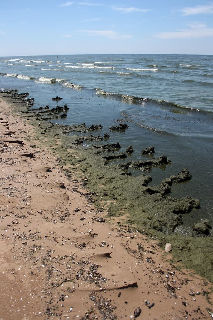 Southwick Beach State Park