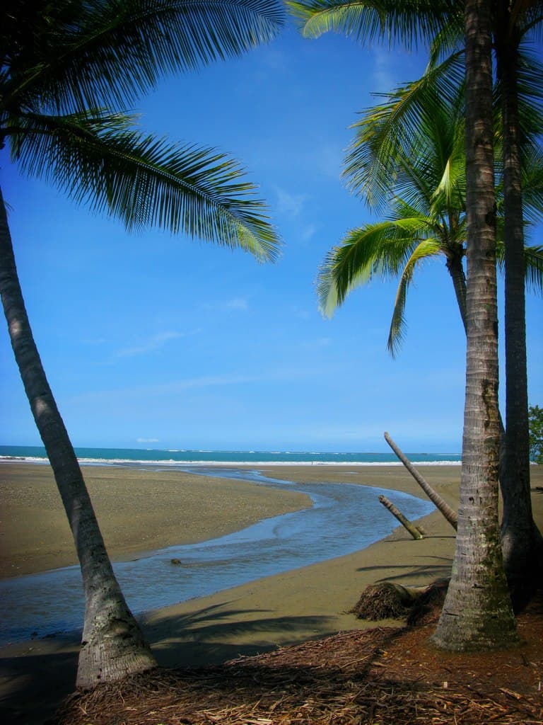 Playa Ballena