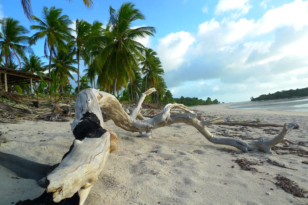 Badu Island Beach view 3
