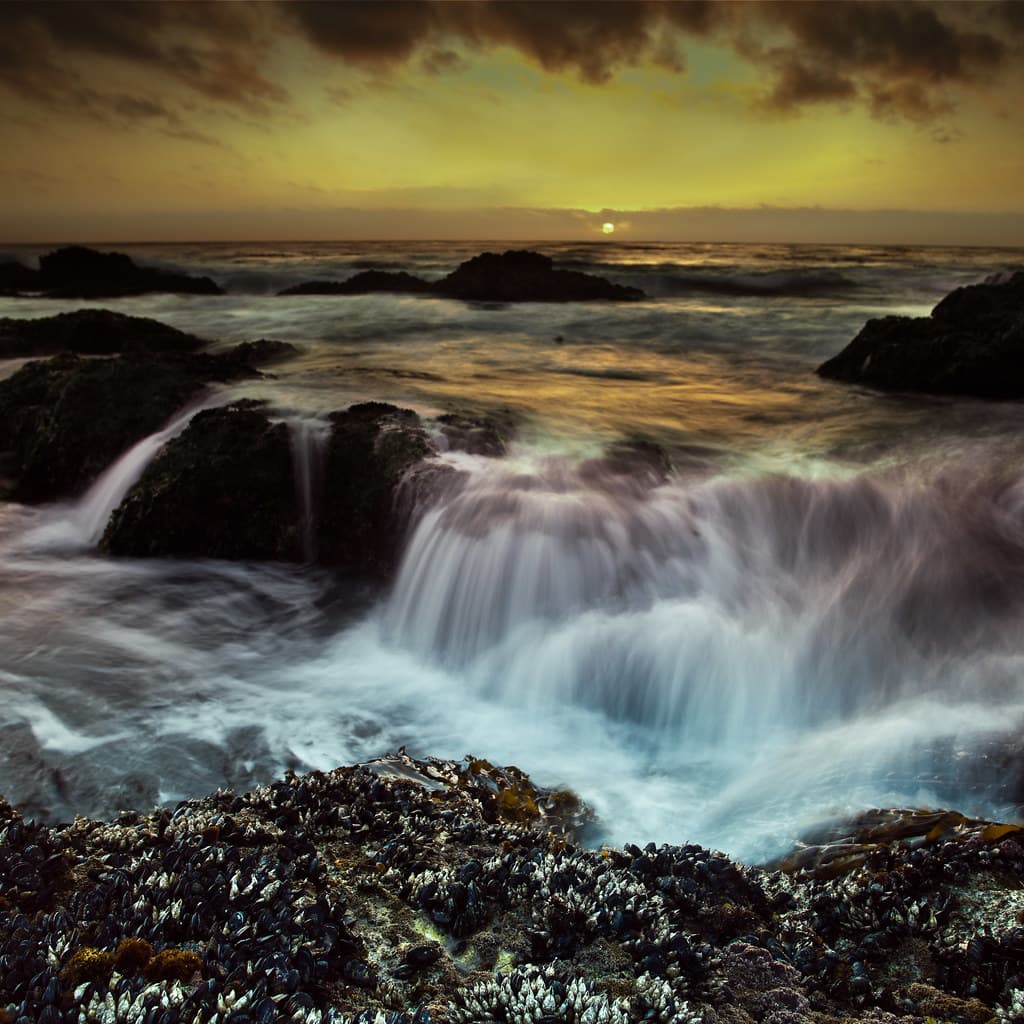 Garrapata State Park Beach