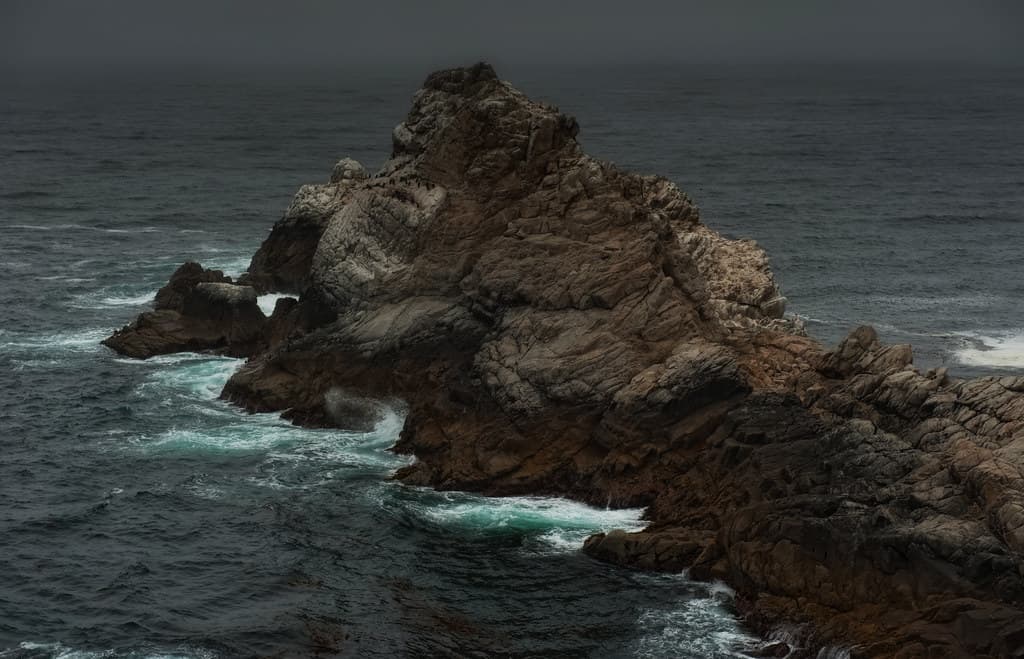 Tiburon Beach