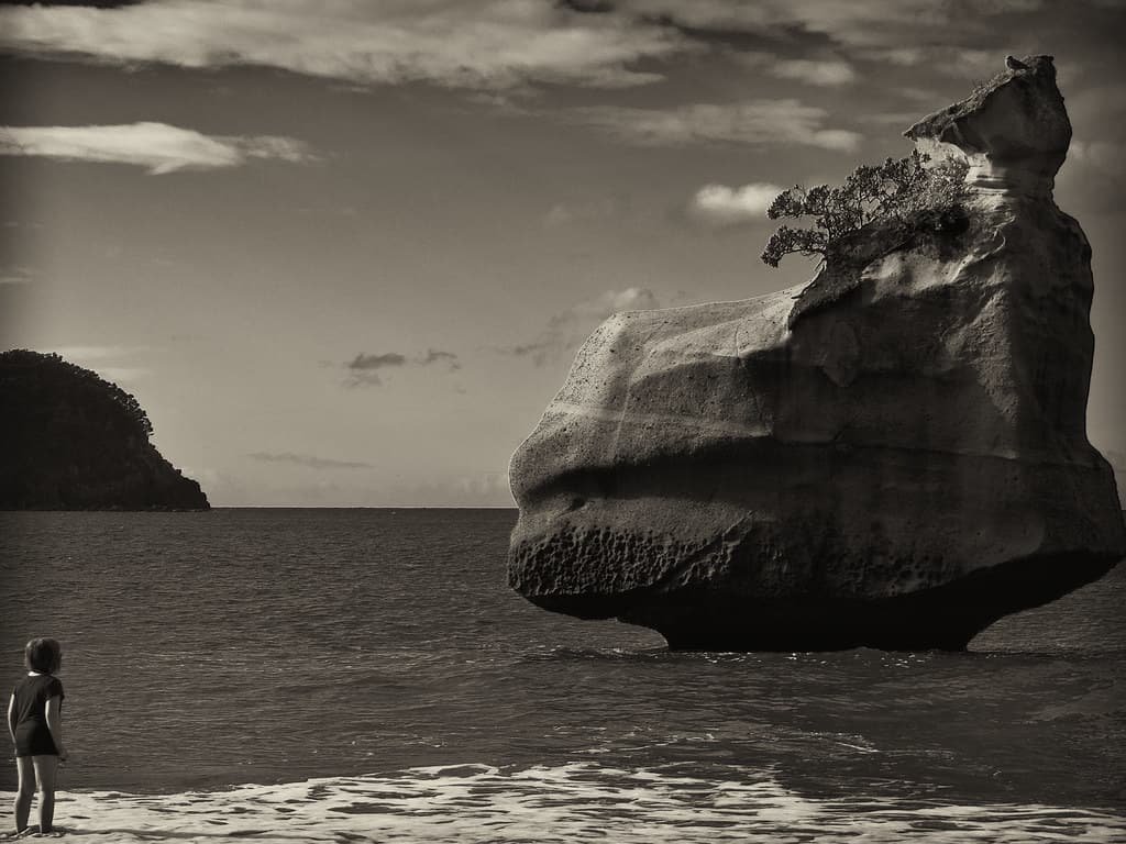 Teddy Bear Cove Beach view 2