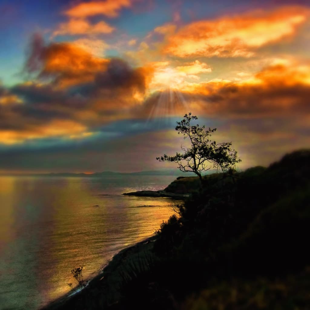 Gonzales Beach