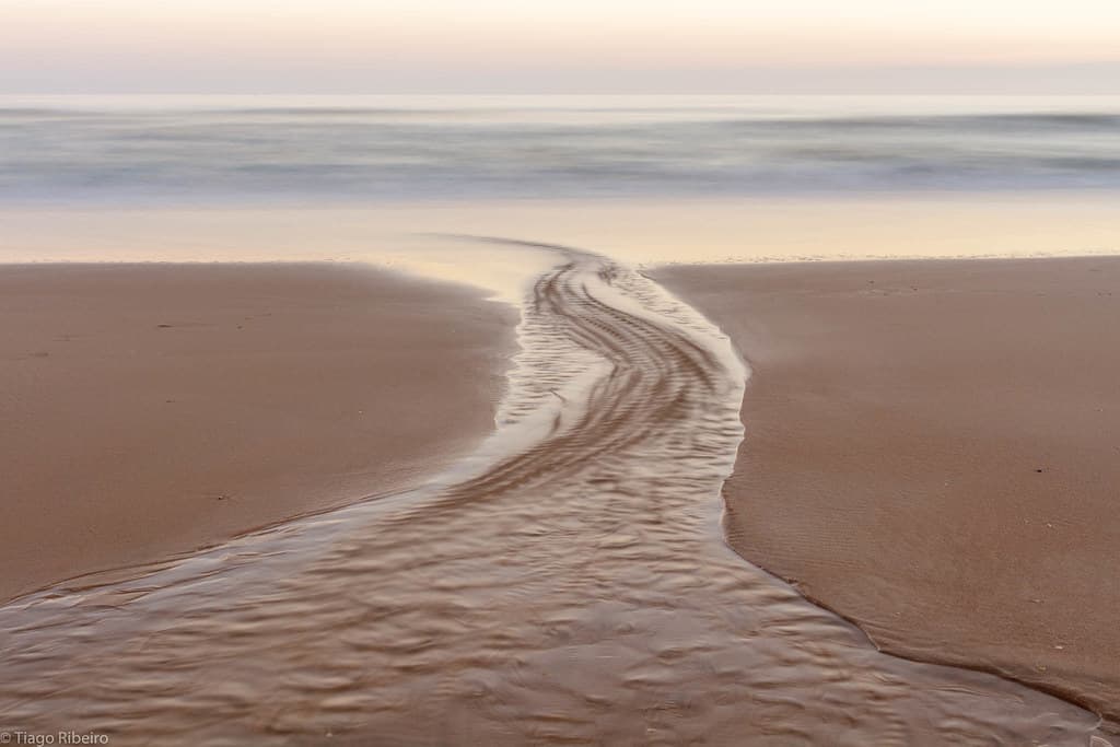 Lota Beach