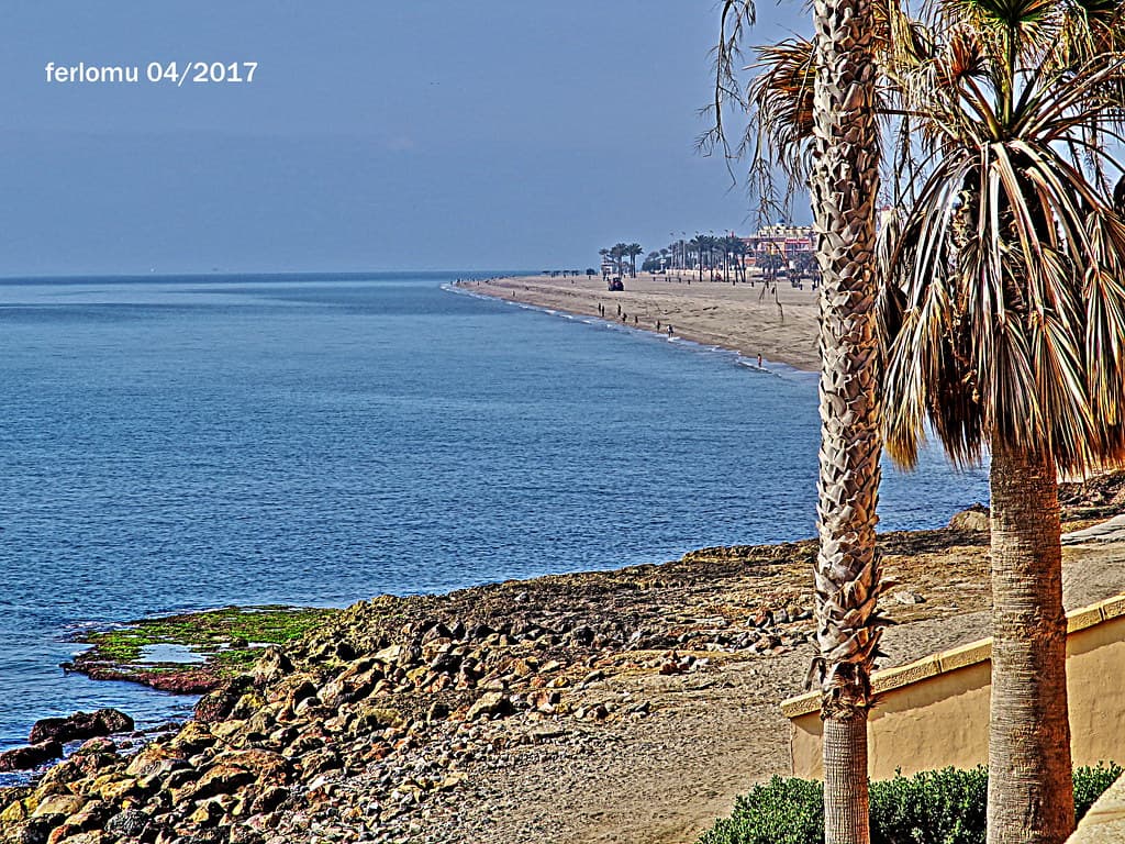 Playa de Cerrillos view 3