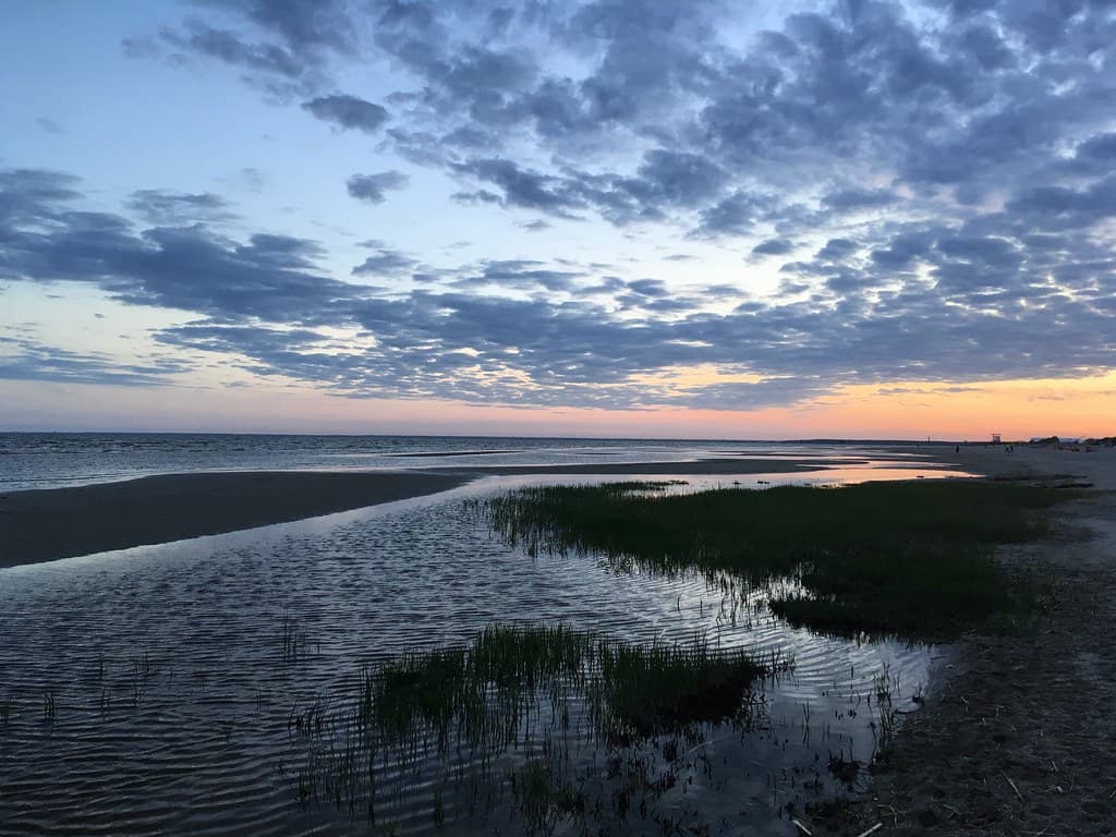 Reiu Coastal Forest Beach