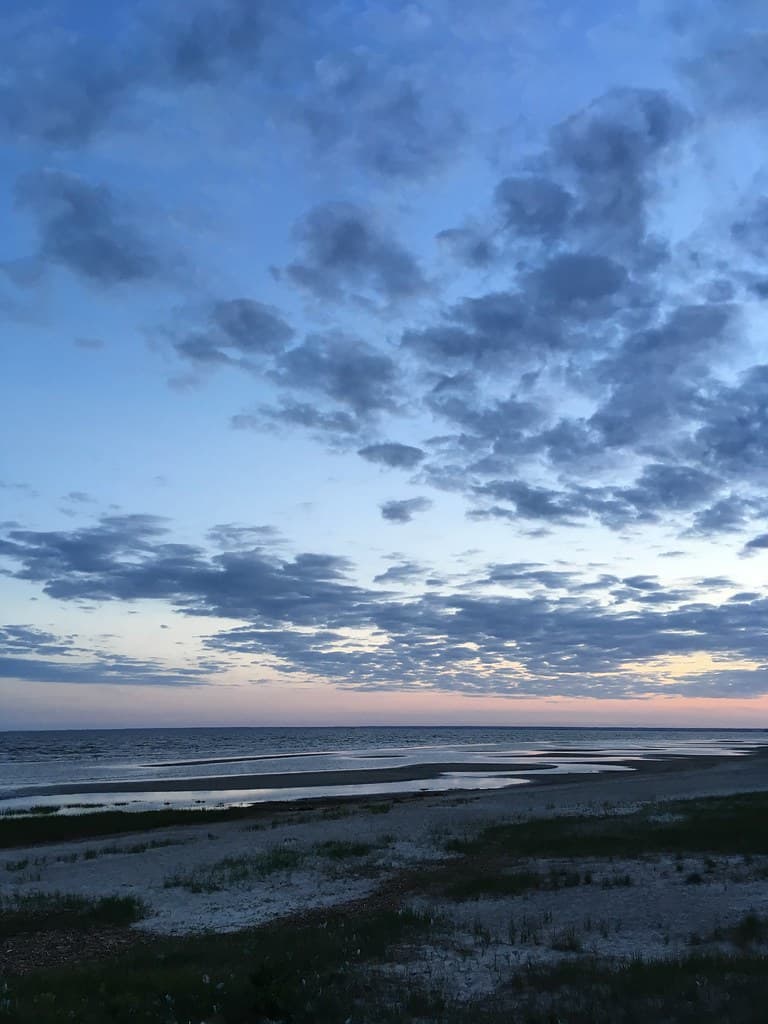 Reiu Coastal Forest Beach view 3