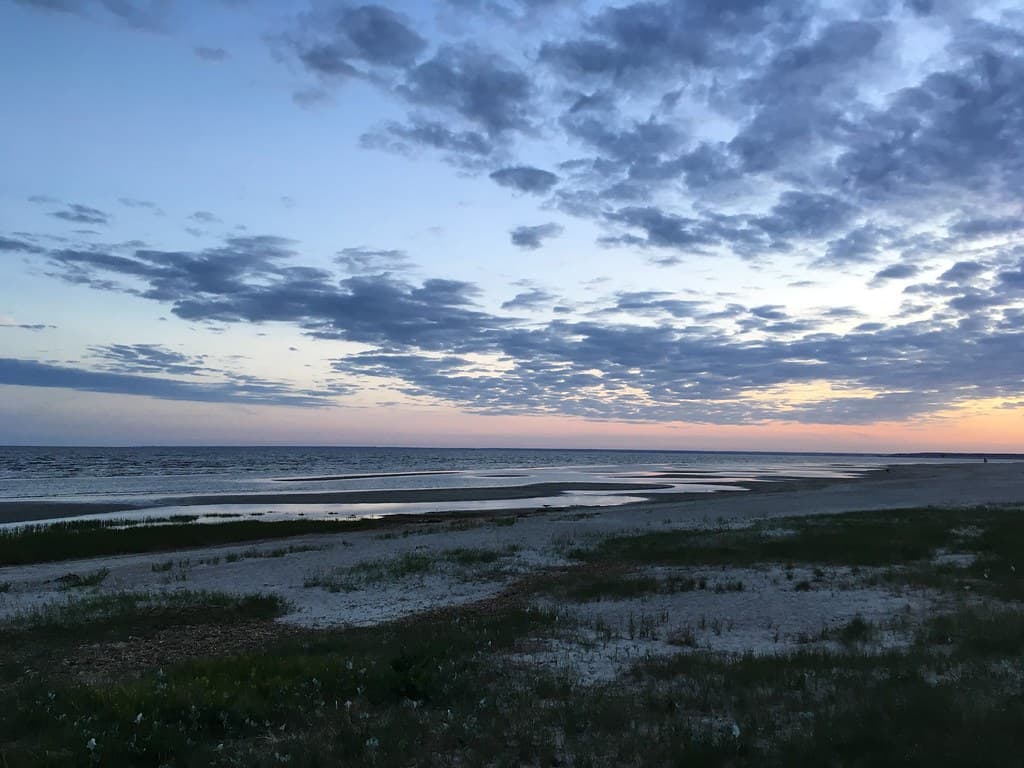 Reiu Coastal Forest Beach view 2