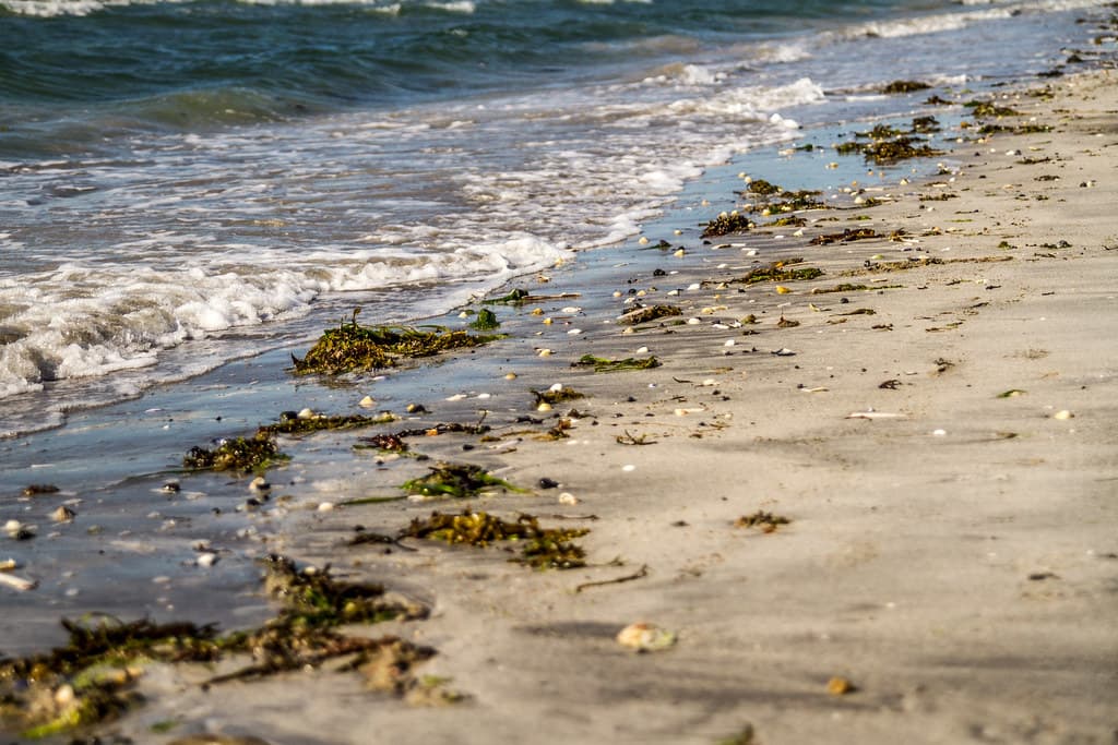 Flaggy Shore view 3