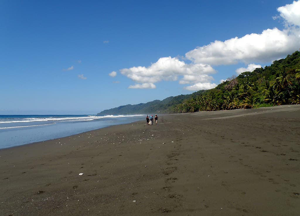 Playa La Leona view 3