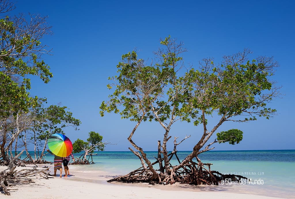 Playa Punta Norte de Cayo Jutías view 3