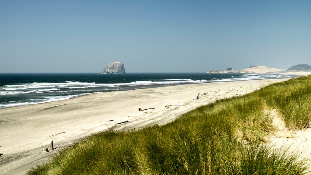 Bob Straub State Park Beach