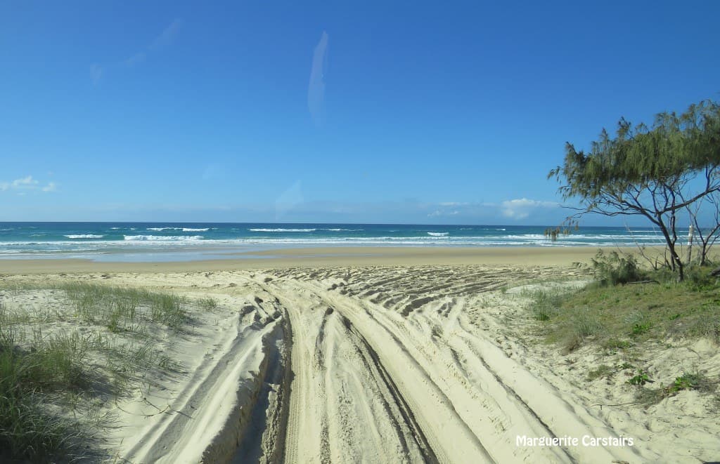 Fraser Island Sandy Beach