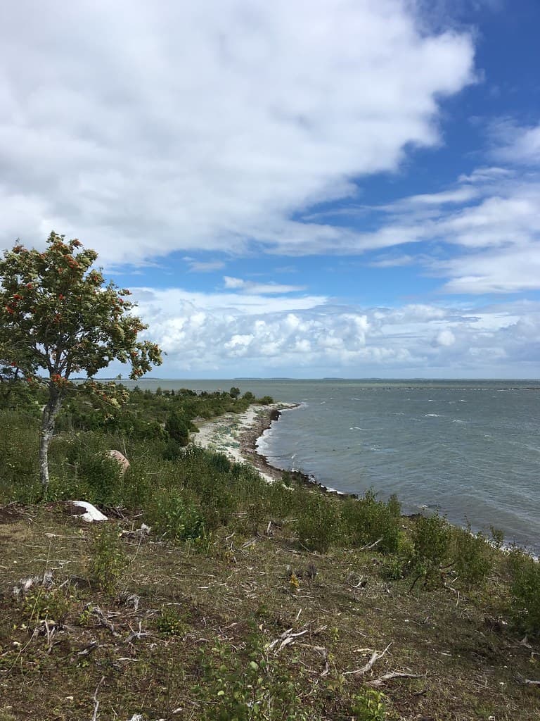 Kõverlaid Shore Beach view 3
