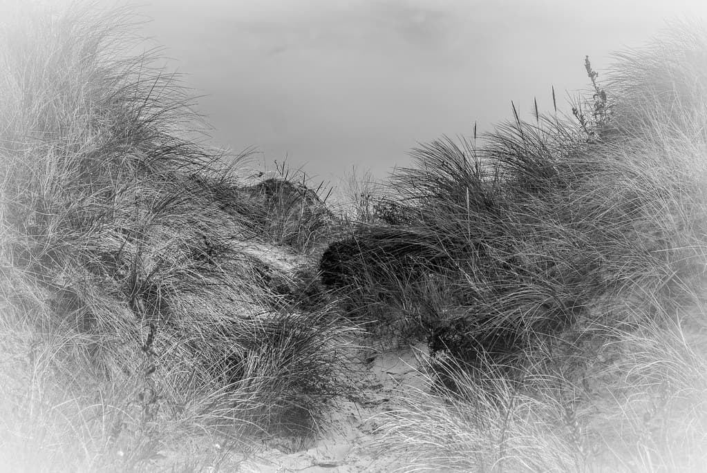 Plage de Zuydcoote view 2