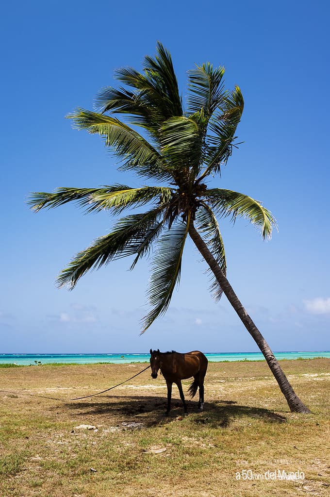 Playa Los Bajos de Don Lino