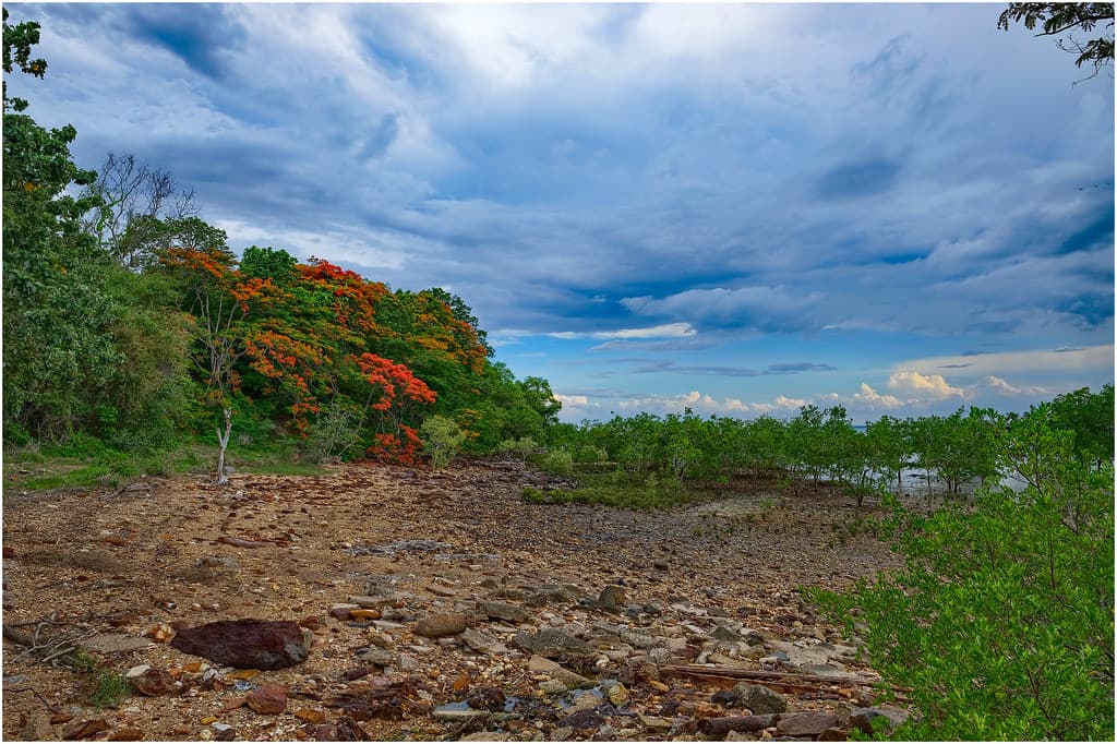 Grass Point Main Beach