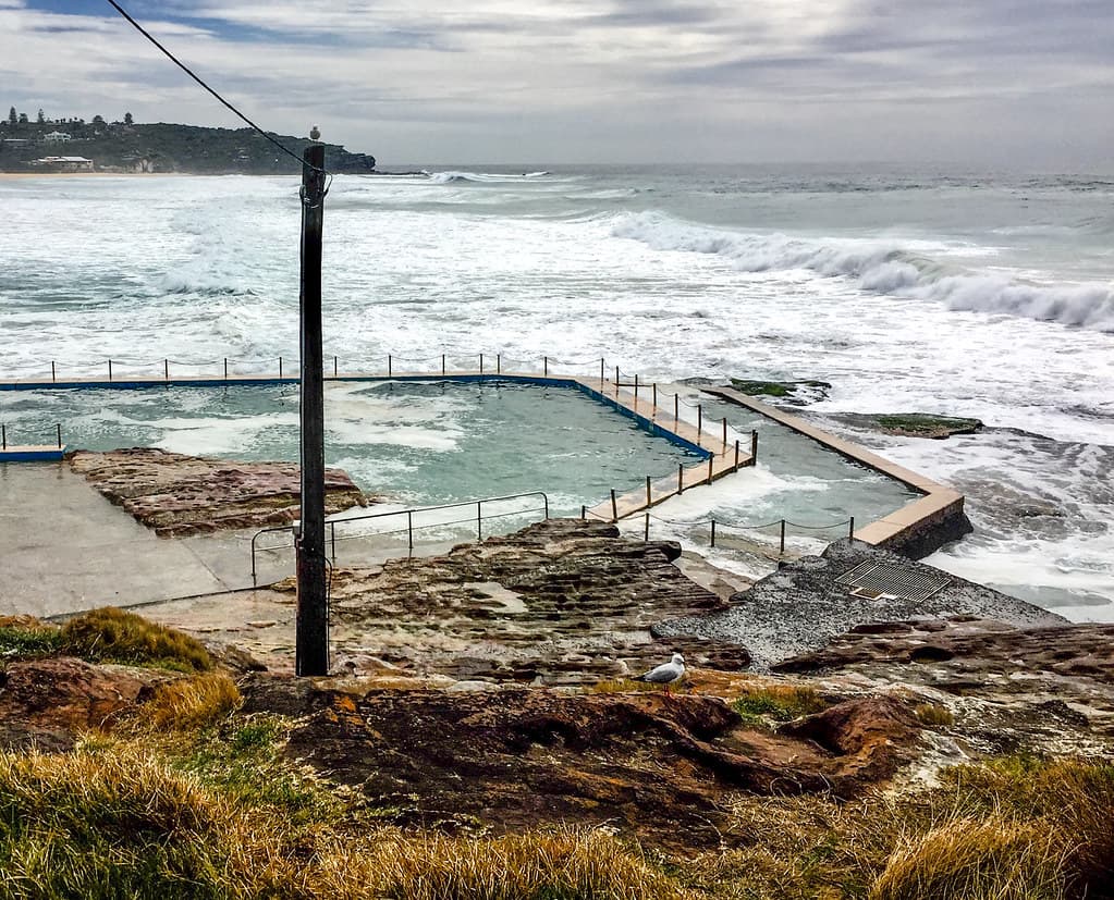 Dee Why Beach