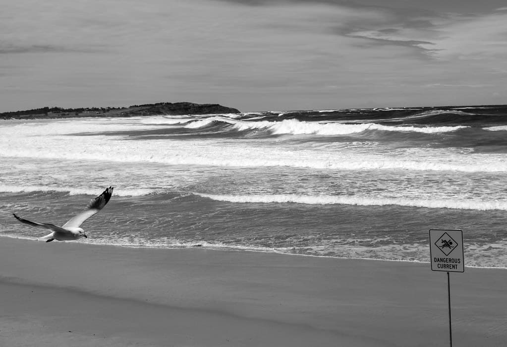 Dee Why Beach
