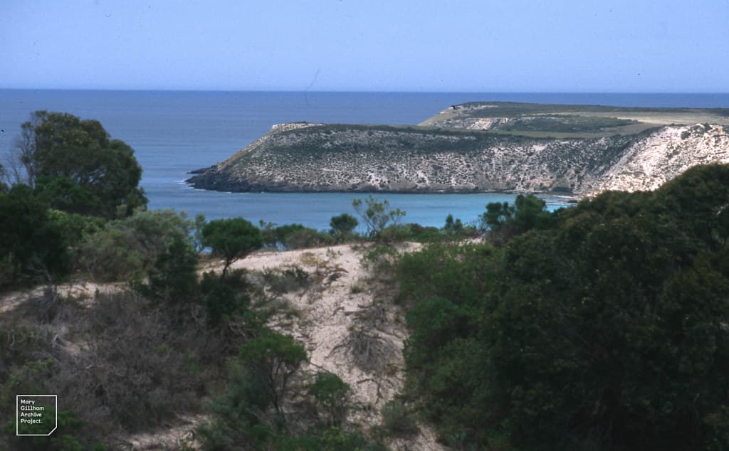 Pennington Bay Beach view 2
