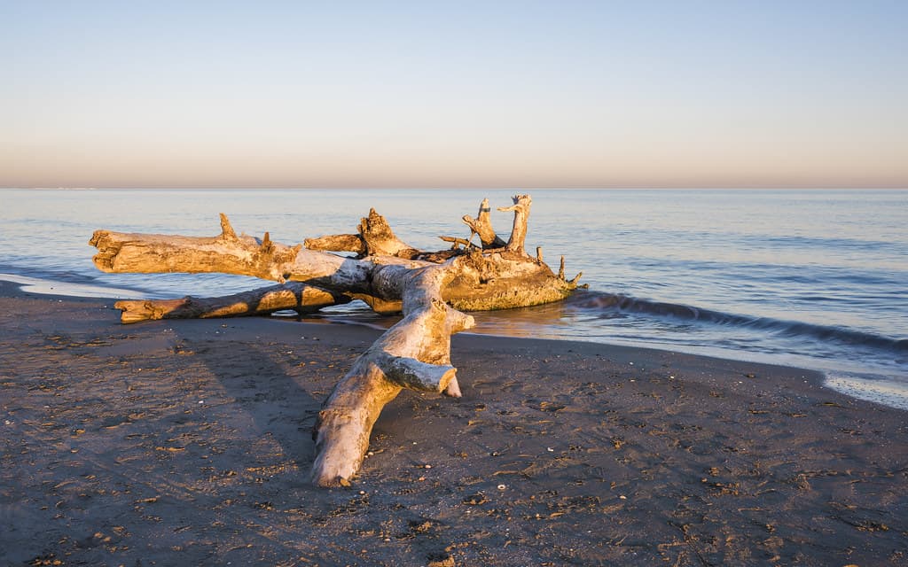Plage de Frontignan view 3