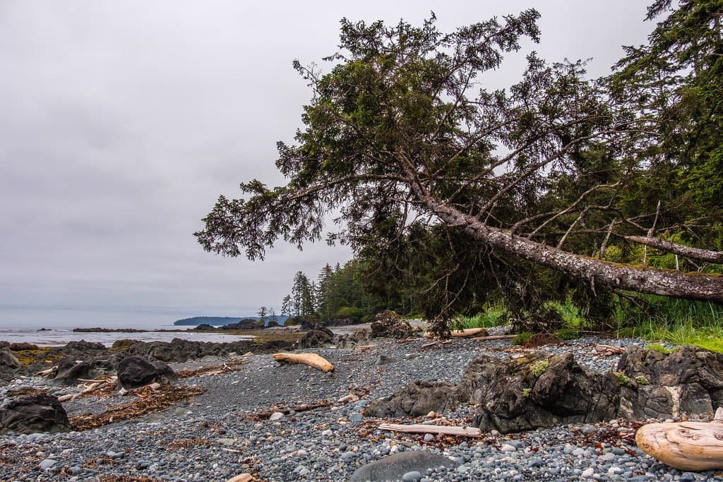 North Spit Beach