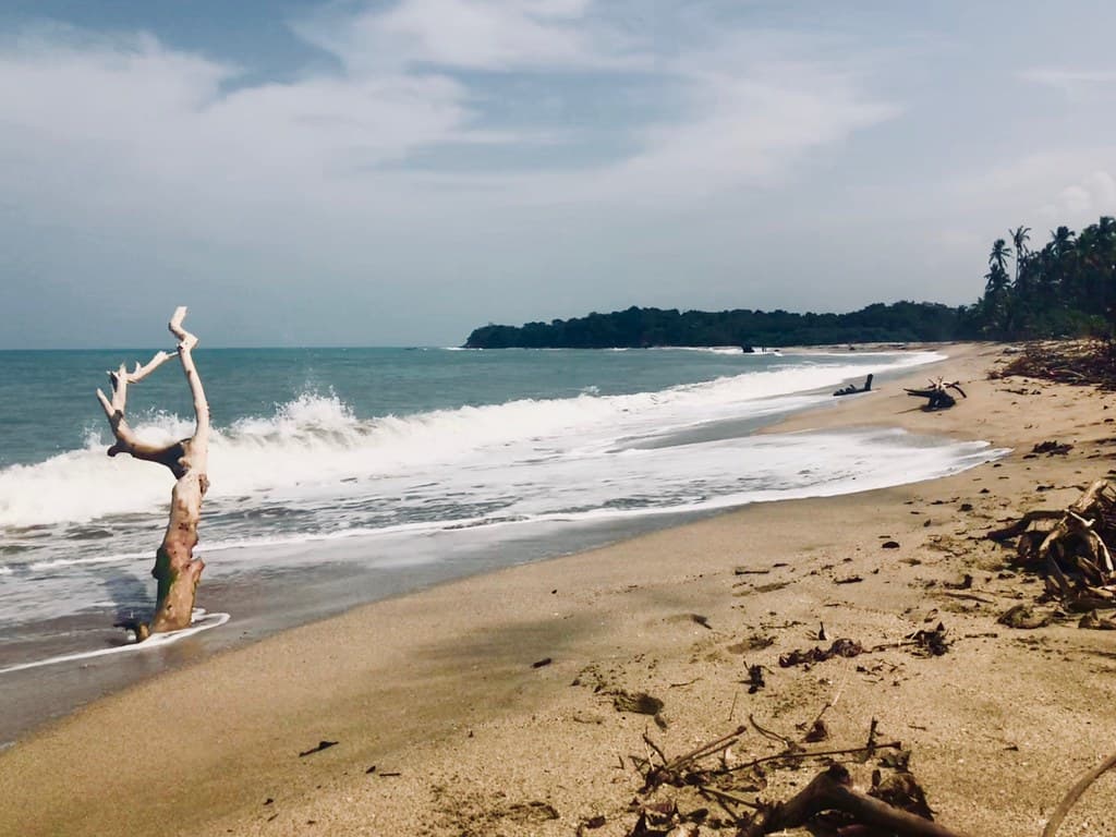 Playa Palomino — photo by Yássef