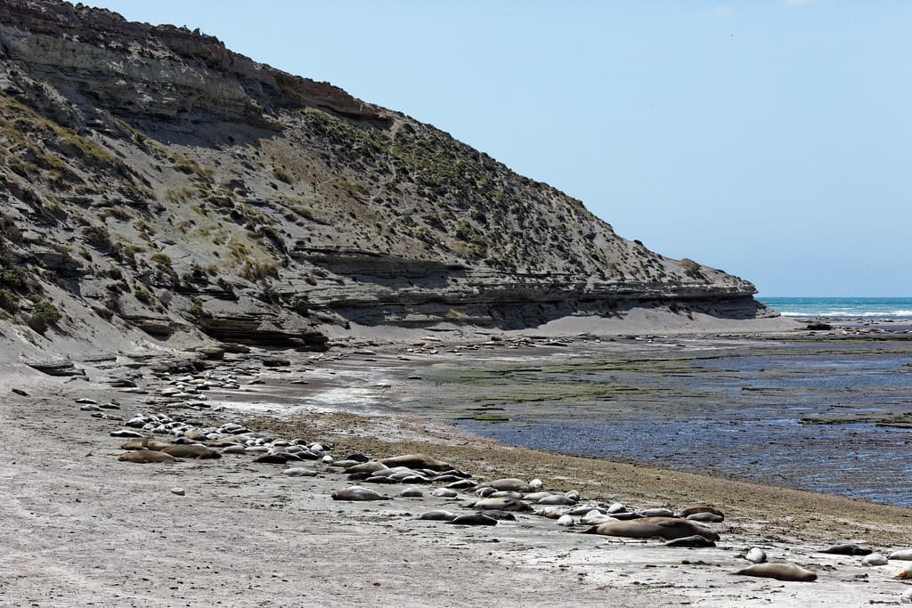 Playa Sur Punta Delgada