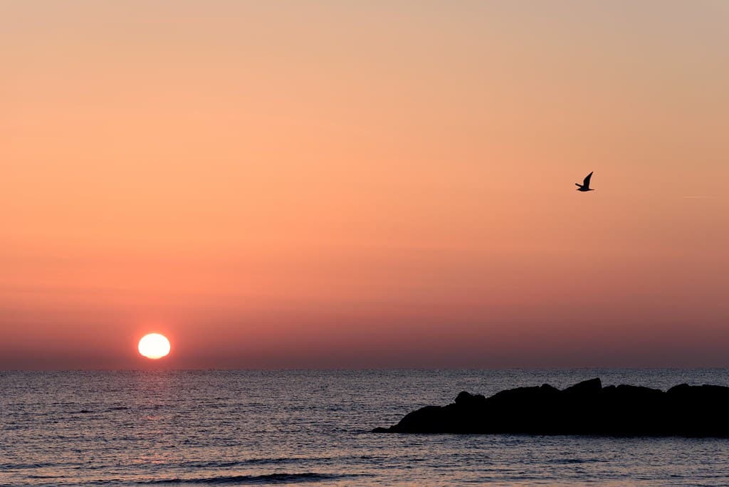 Plage de Palavas-les-Flots view 2