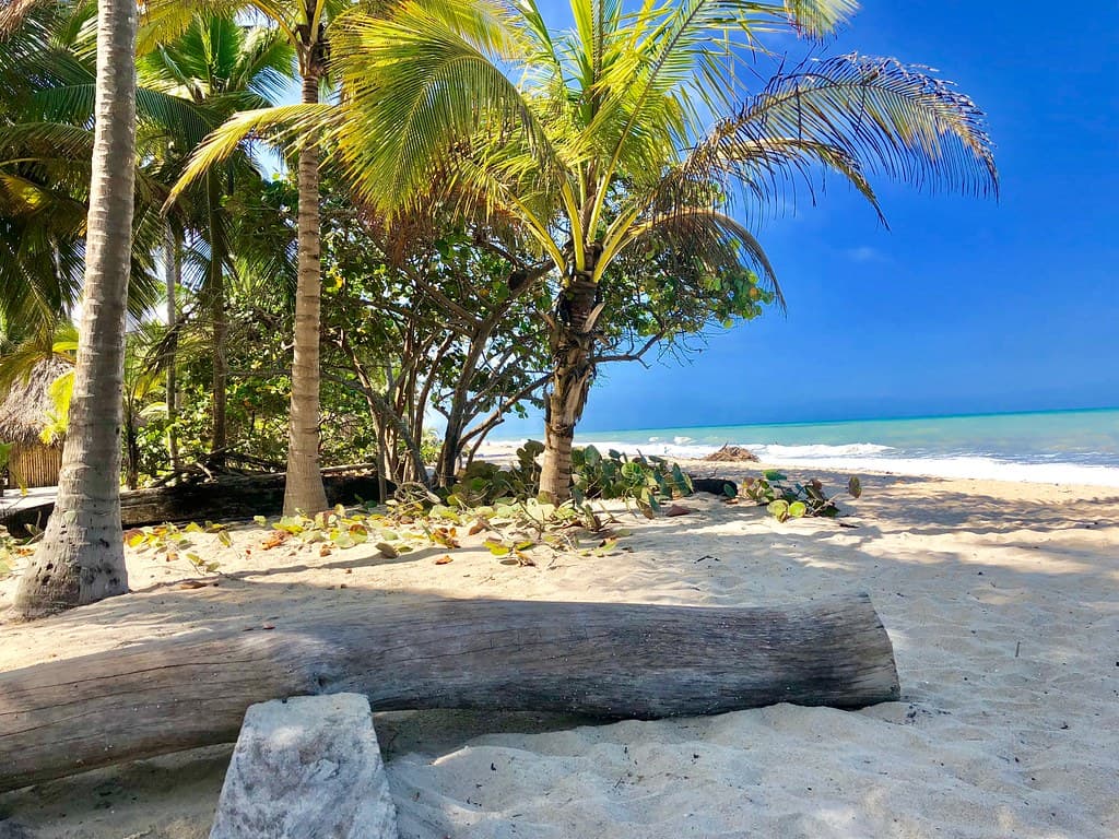 Playa Río Palomino