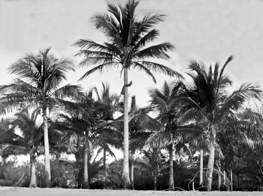 Canoe Point Beach view 3
